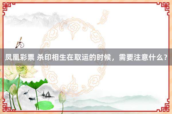 凤凰彩票 杀印相生在取运的时候，需要注意什么？