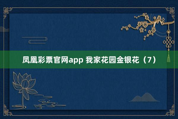 凤凰彩票官网app 我家花园金银花（7）