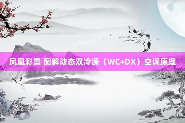 凤凰彩票 图解动态双冷源（WC+DX）空调原理
