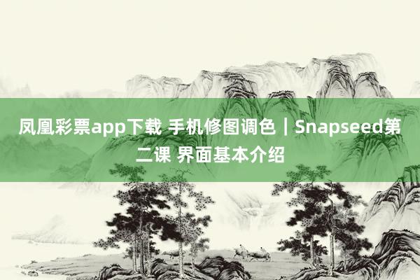 凤凰彩票app下载 手机修图调色｜Snapseed第二课 界面基本介绍