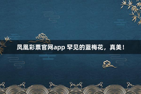 凤凰彩票官网app 罕见的蓝梅花，真美！
