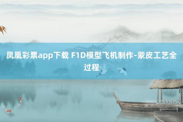 凤凰彩票app下载 F1D模型飞机制作-蒙皮工艺全过程