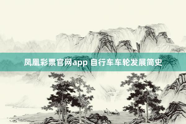凤凰彩票官网app 自行车车轮发展简史