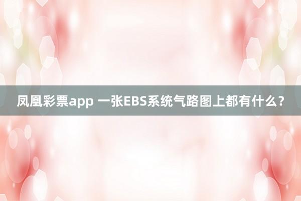凤凰彩票app 一张EBS系统气路图上都有什么？
