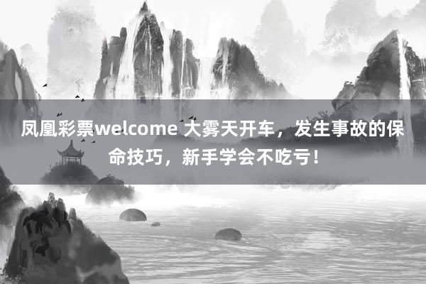凤凰彩票welcome 大雾天开车，发生事故的保命技巧，新手学会不吃亏！