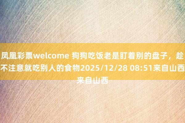 凤凰彩票welcome 狗狗吃饭老是盯着别的盘子，趁不注意就吃别人的食物2025/12/28 08:51来自山西