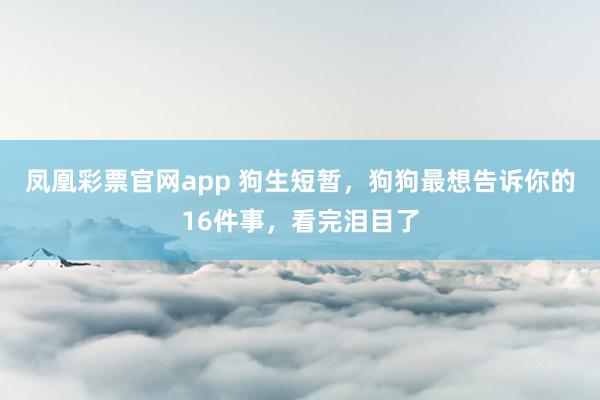凤凰彩票官网app 狗生短暂，狗狗最想告诉你的16件事，看完泪目了
