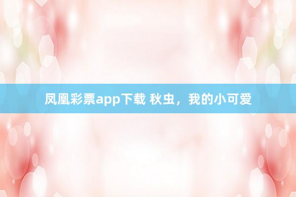 凤凰彩票app下载 秋虫，我的小可爱