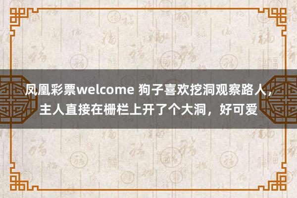 凤凰彩票welcome 狗子喜欢挖洞观察路人，主人直接在栅栏上开了个大洞，好可爱