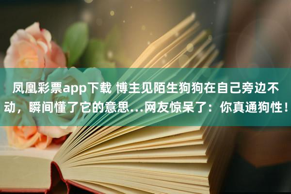 凤凰彩票app下载 博主见陌生狗狗在自己旁边不动，瞬间懂了它的意思…网友惊呆了：你真通狗性！