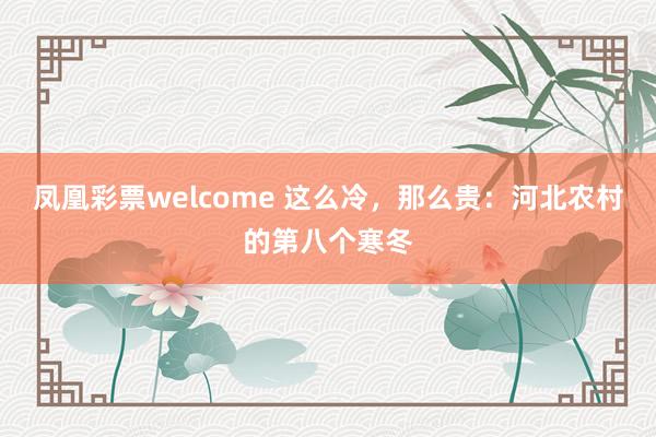 凤凰彩票welcome 这么冷，那么贵：河北农村的第八个寒冬
