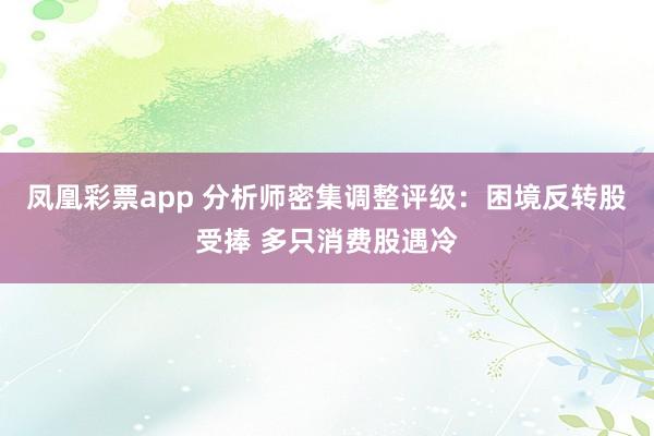 凤凰彩票app 分析师密集调整评级：困境反转股受捧 多只消费股遇冷
