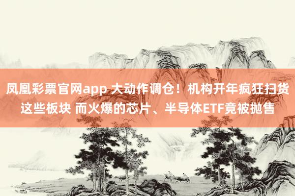 凤凰彩票官网app 大动作调仓！机构开年疯狂扫货这些板块 而火爆的芯片、半导体ETF竟被抛售