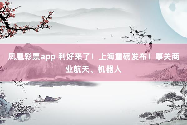 凤凰彩票app 利好来了！上海重磅发布！事关商业航天、机器人