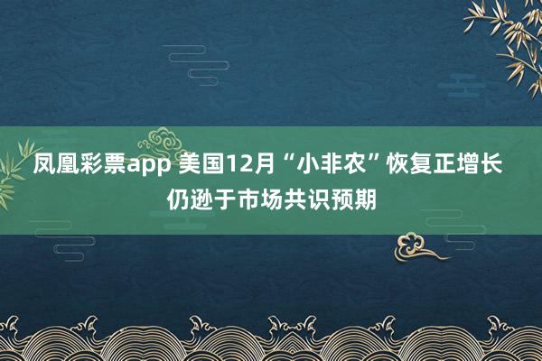凤凰彩票app 美国12月“小非农”恢复正增长 仍逊于市场共识预期