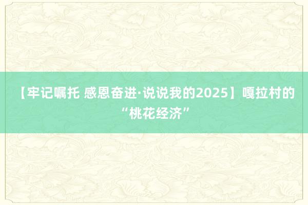 【牢记嘱托 感恩奋进·说说我的2025】嘎拉村的“桃花经济”