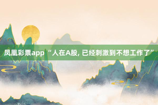 凤凰彩票app “人在A股， 已经刺激到不想工作了”