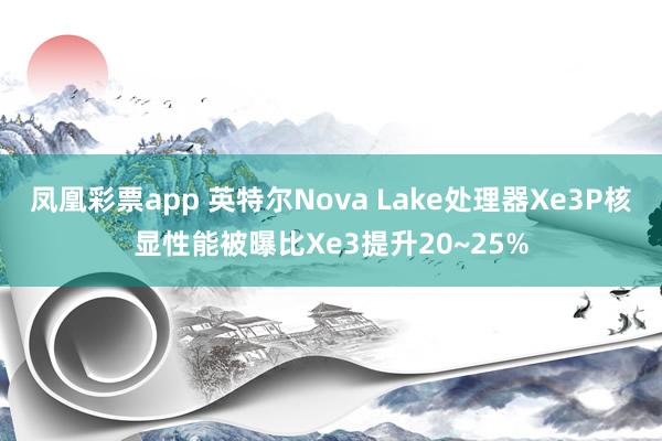凤凰彩票app 英特尔Nova Lake处理器Xe3P核显性能被曝比Xe3提升20~25%