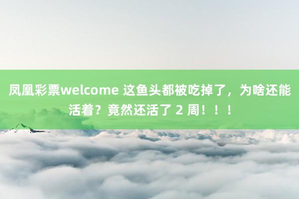 凤凰彩票welcome 这鱼头都被吃掉了，为啥还能活着？竟然还活了 2 周！！！