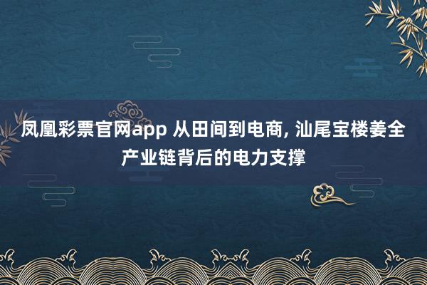 凤凰彩票官网app 从田间到电商， 汕尾宝楼姜全产业链背后的电力支撑