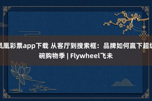 凤凰彩票app下载 从客厅到搜索框：品牌如何赢下超级碗购物季 | Flywheel飞未