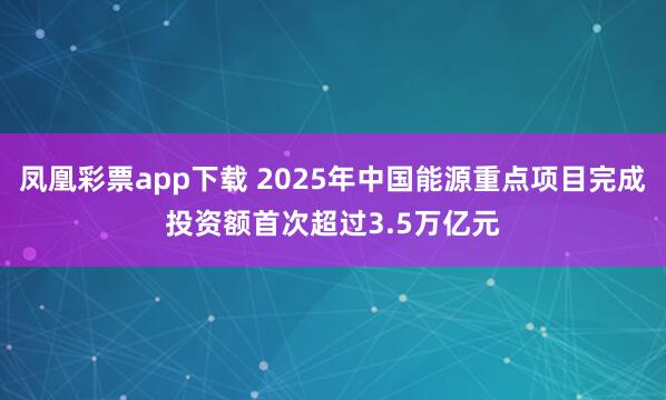 凤凰彩票app下载 2025年中国能源重点项目完成投资额首次超过3.5万亿元
