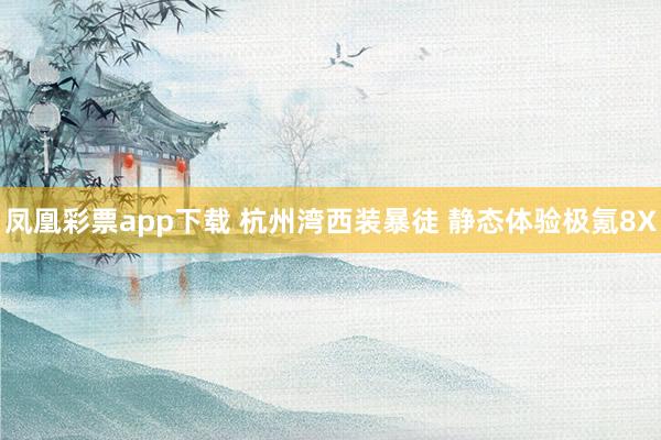 凤凰彩票app下载 杭州湾西装暴徒 静态体验极氪8X