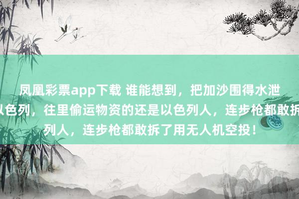 凤凰彩票app下载 谁能想到，把加沙围得水泄不通的，竟然是以色列，往里偷运物资的还是以色列人，连步枪都敢拆了用无人机空投！